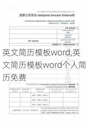 英文简历模板word,英文简历模板word个人简历免费-第3张图片-星梦范文网