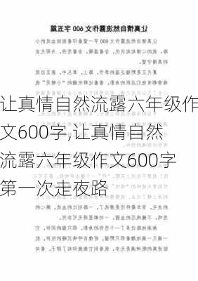 让真情自然流露六年级作文600字,让真情自然流露六年级作文600字第一次走夜路-第2张图片-星梦范文网