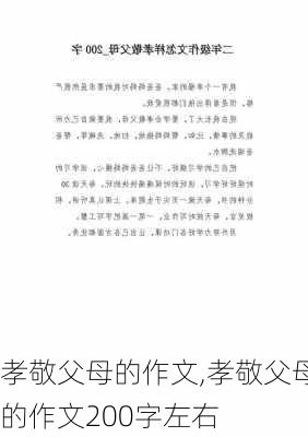 孝敬父母的作文,孝敬父母的作文200字左右-第3张图片-星梦范文网