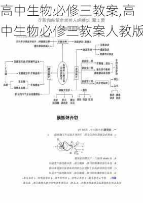 高中生物必修三教案,高中生物必修三教案人教版-第3张图片-星梦范文网