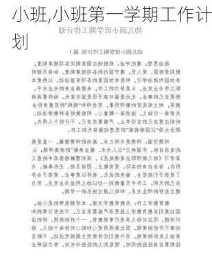 小班,小班第一学期工作计划