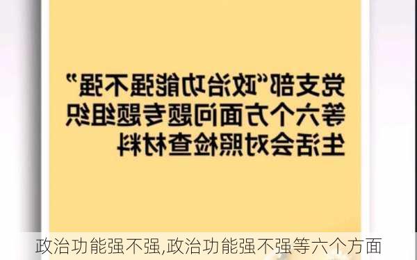 政治功能强不强,政治功能强不强等六个方面-第2张图片-星梦范文网