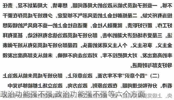 政治功能强不强,政治功能强不强等六个方面-第3张图片-星梦范文网