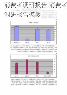 消费者调研报告,消费者调研报告模板-第3张图片-星梦范文网