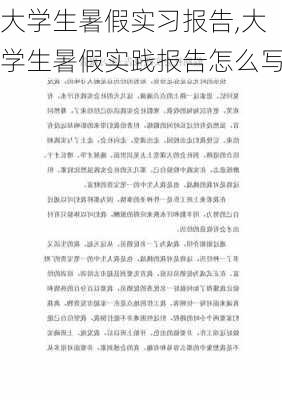 大学生暑假实习报告,大学生暑假实践报告怎么写-第2张图片-星梦范文网