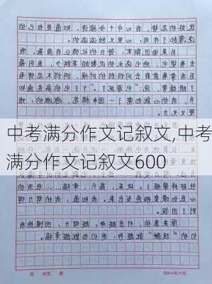 中考满分作文记叙文,中考满分作文记叙文600-第2张图片-星梦范文网