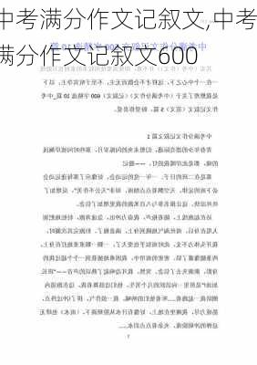 中考满分作文记叙文,中考满分作文记叙文600-第3张图片-星梦范文网