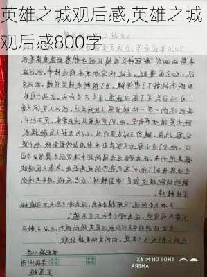 英雄之城观后感,英雄之城观后感800字-第3张图片-星梦范文网