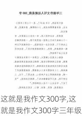 这就是我作文300字,这就是我作文300字三年级-第3张图片-星梦范文网