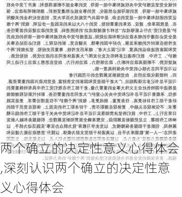 两个确立的决定性意义心得体会,深刻认识两个确立的决定性意义心得体会