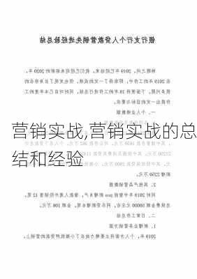 营销实战,营销实战的总结和经验-第3张图片-星梦范文网