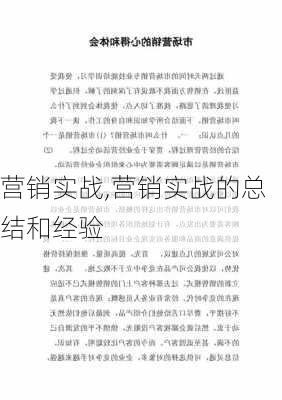 营销实战,营销实战的总结和经验-第2张图片-星梦范文网