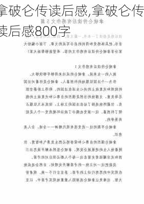 拿破仑传读后感,拿破仑传读后感800字