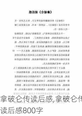 拿破仑传读后感,拿破仑传读后感800字-第3张图片-星梦范文网