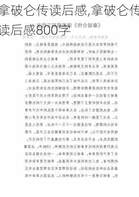 拿破仑传读后感,拿破仑传读后感800字-第2张图片-星梦范文网