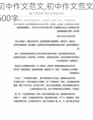 初中作文范文,初中作文范文600字-第3张图片-星梦范文网