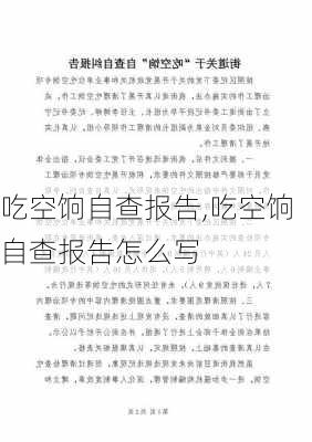 吃空饷自查报告,吃空饷自查报告怎么写-第3张图片-星梦范文网