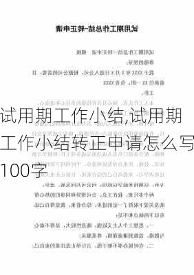 试用期工作小结,试用期工作小结转正申请怎么写100字