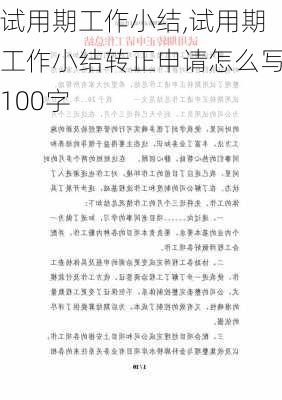 试用期工作小结,试用期工作小结转正申请怎么写100字-第2张图片-星梦范文网