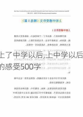 上了中学以后,上中学以后的感受500字