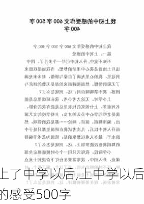 上了中学以后,上中学以后的感受500字-第3张图片-星梦范文网