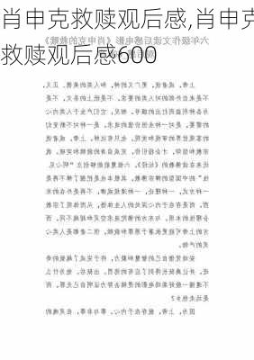 肖申克救赎观后感,肖申克救赎观后感600-第3张图片-星梦范文网