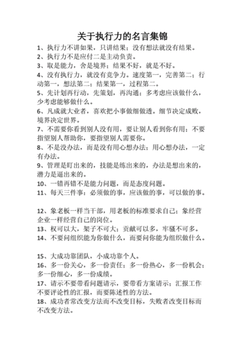 关于执行力的文章,关于执行力的文章标题-第2张图片-星梦范文网