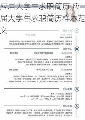 应届大学生求职简历,应届大学生求职简历样本范文-第1张图片-星梦范文网