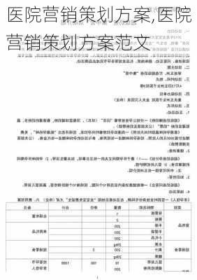 医院营销策划方案,医院营销策划方案范文-第2张图片-星梦范文网