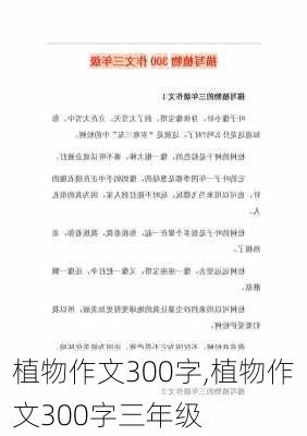 植物作文300字,植物作文300字三年级-第2张图片-星梦范文网