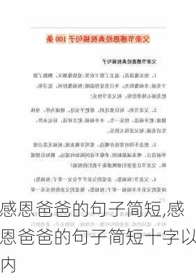 感恩爸爸的句子简短,感恩爸爸的句子简短十字以内