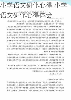 小学语文研修心得,小学语文研修心得体会