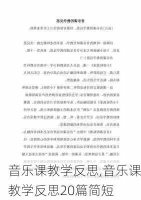 音乐课教学反思,音乐课教学反思20篇简短-第3张图片-星梦范文网