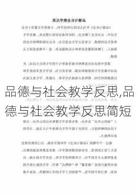 品德与社会教学反思,品德与社会教学反思简短-第2张图片-星梦范文网