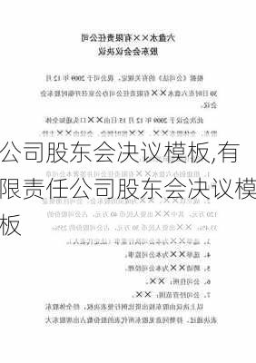 公司股东会决议模板,有限责任公司股东会决议模板-第2张图片-星梦范文网