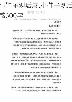 小鞋子观后感,小鞋子观后感600字