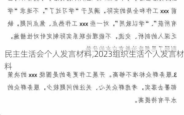 民主生活会个人发言材料,2023组织生活个人发言材料