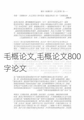 毛概论文,毛概论文800字论文-第1张图片-星梦范文网