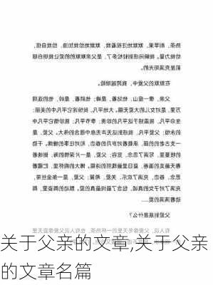 关于父亲的文章,关于父亲的文章名篇-第2张图片-星梦范文网