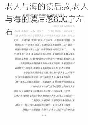 老人与海的读后感,老人与海的读后感800字左右-第2张图片-星梦范文网