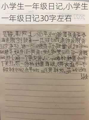 小学生一年级日记,小学生一年级日记30字左右-第2张图片-星梦范文网