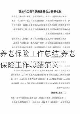 养老保险工作总结,养老保险工作总结范文-第2张图片-星梦范文网