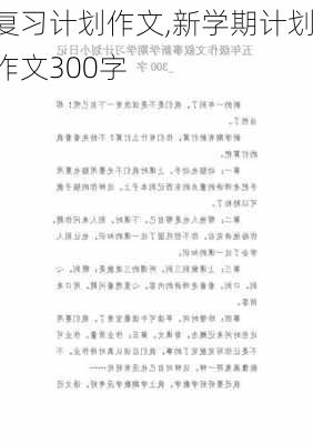 复习计划作文,新学期计划作文300字-第2张图片-星梦范文网