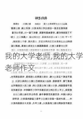 我的大学老师,我的大学老师作文