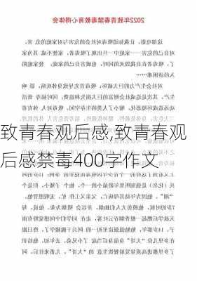 致青春观后感,致青春观后感禁毒400字作文