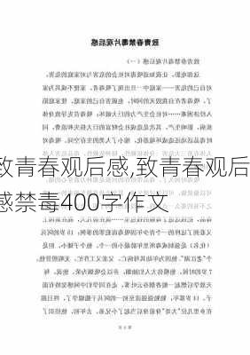 致青春观后感,致青春观后感禁毒400字作文-第3张图片-星梦范文网