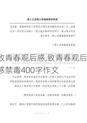 致青春观后感,致青春观后感禁毒400字作文-第2张图片-星梦范文网