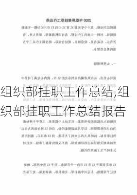 组织部挂职工作总结,组织部挂职工作总结报告-第2张图片-星梦范文网