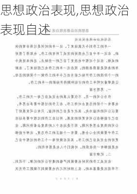 思想政治表现,思想政治表现自述