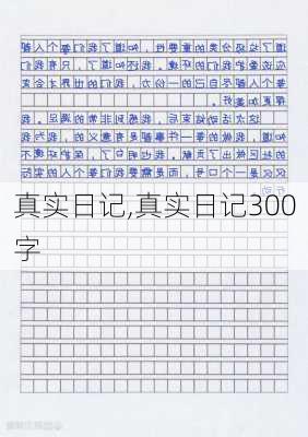 真实日记,真实日记300字-第2张图片-星梦范文网